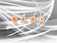 &#76;&#69;&#84;&#79;&#85;&#46;&#67;&#79;&#77;&#45;&#20048;&#25237;&#65288;&#20013;&#22269;&#65289;
